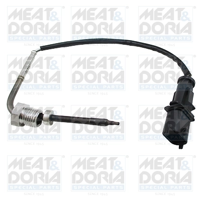 Sensor, exhaust gas temperature